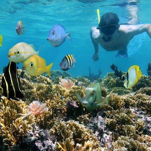 Apa Saja Manfaat Snorkeling Bagi Kesehatan?