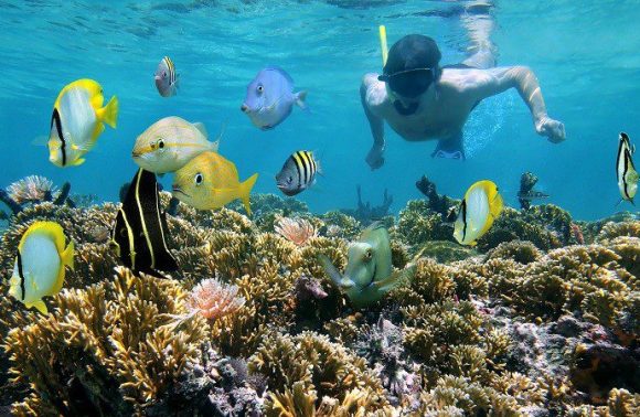 Apa Saja Manfaat Snorkeling Bagi Kesehatan?